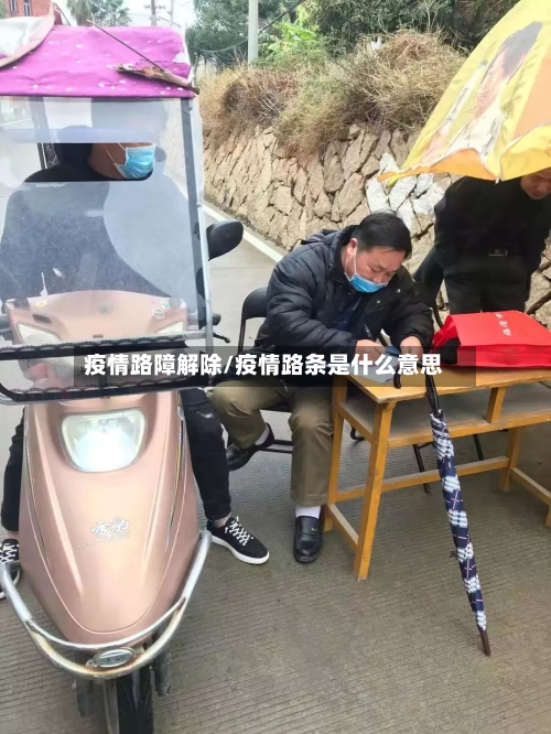 疫情路障解除/疫情路条是什么意思-第2张图片