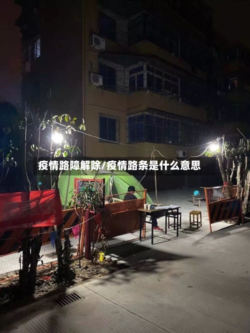 疫情路障解除/疫情路条是什么意思-第1张图片