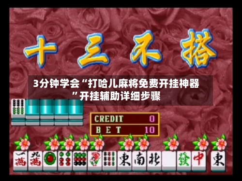 3分钟学会“打哈儿麻将免费开挂神器	”开挂辅助详细步骤-第2张图片