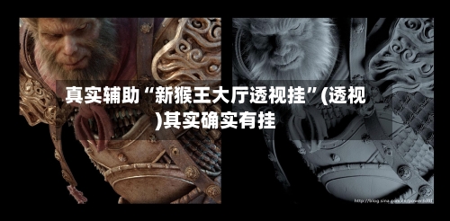 真实辅助“新猴王大厅透视挂”(透视)其实确实有挂-第1张图片