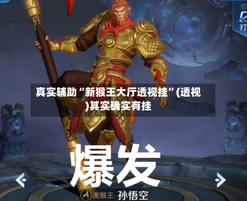 真实辅助“新猴王大厅透视挂”(透视)其实确实有挂-第3张图片