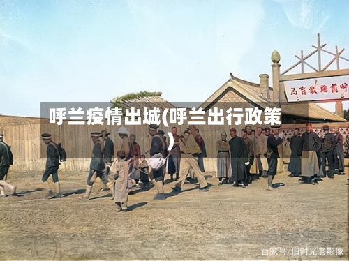 呼兰疫情出城(呼兰出行政策)