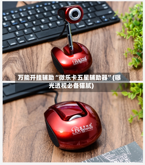 万能开挂辅助“微乐卡五星辅助器”(曝光透视必备猫腻)-第1张图片