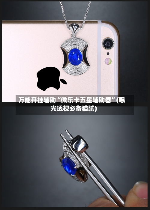 万能开挂辅助“微乐卡五星辅助器”(曝光透视必备猫腻)-第3张图片