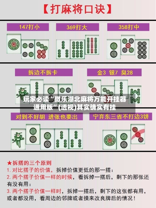 玩家必读“微乐湖北麻将万能开挂器通用版”(透视)其实确实有挂-第2张图片