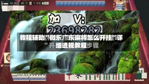 教程辅助“微乐广东麻将怎么开挂”详细透视教程