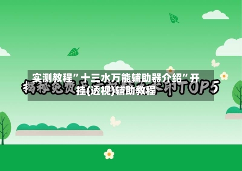 实测教程”十三水万能辅助器介绍”开挂(透视)辅助教程-第2张图片