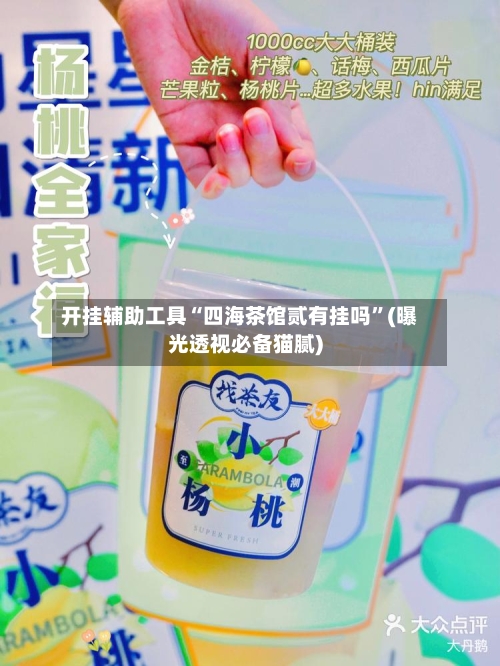 开挂辅助工具“四海茶馆贰有挂吗”(曝光透视必备猫腻)-第3张图片