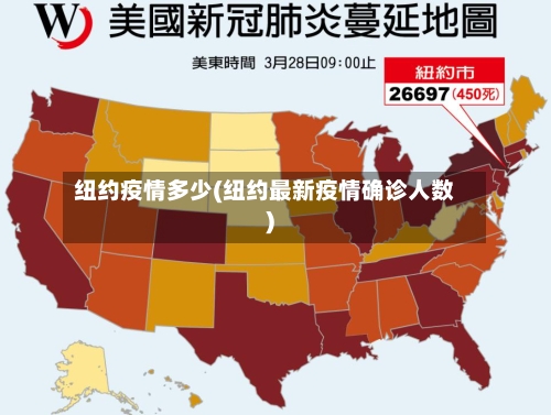 纽约疫情多少(纽约最新疫情确诊人数)