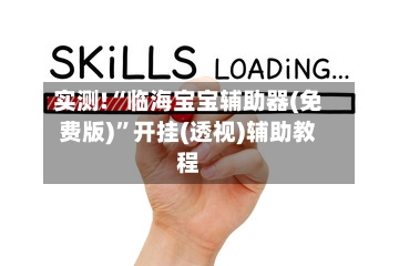 实测!“临海宝宝辅助器(免费版)”开挂(透视)辅助教程-第2张图片