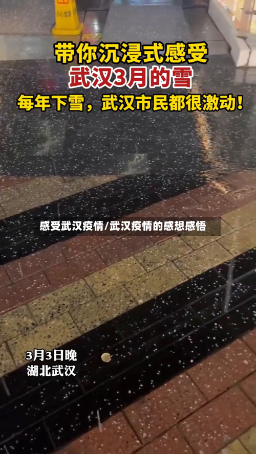感受武汉疫情/武汉疫情的感想感悟-第1张图片