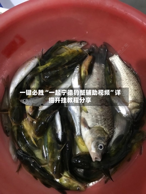 一键必胜“一起宁德钓蟹辅助视频	”详细开挂教程分享-第1张图片