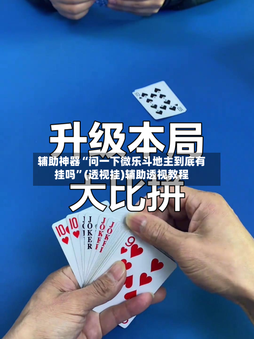 辅助神器“问一下微乐斗地主到底有挂吗”(透视挂)辅助透视教程-第1张图片