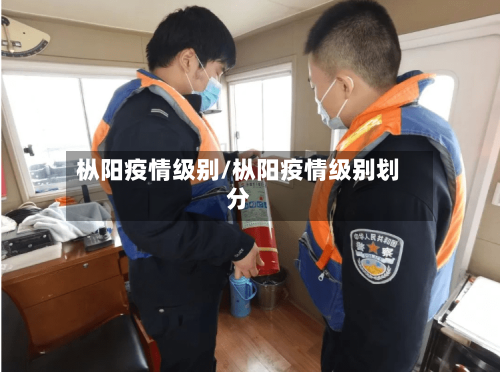 枞阳疫情级别/枞阳疫情级别划分-第1张图片