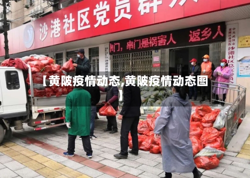 【黄陂疫情动态,黄陂疫情动态图】-第2张图片
