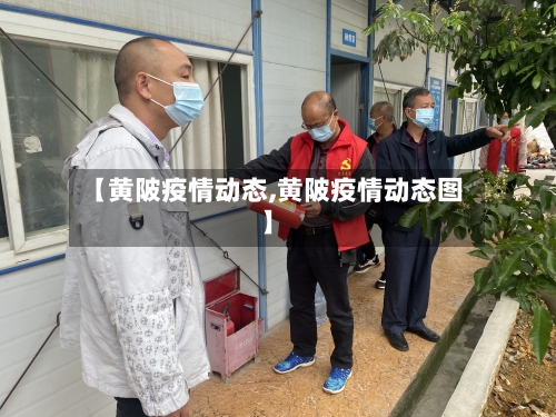 【黄陂疫情动态,黄陂疫情动态图】-第3张图片