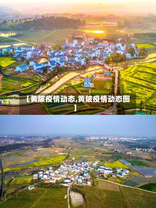 【黄陂疫情动态,黄陂疫情动态图】
