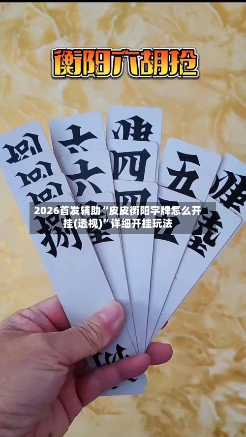 2026首发辅助“皮皮衡阳字牌怎么开挂(透视)”详细开挂玩法-第2张图片