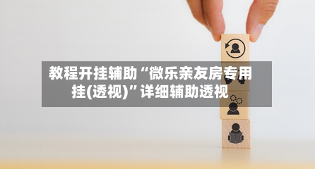 教程开挂辅助“微乐亲友房专用挂(透视)”详细辅助透视-第2张图片
