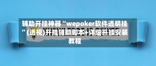 辅助开挂神器“wepoker软件透明挂”(透视)开挂辅助脚本+详细开挂安装教程-第1张图片