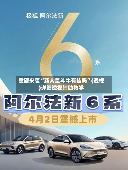 重磅来袭“新人皇斗牛有挂吗”(透视)详细透视辅助教学-第3张图片