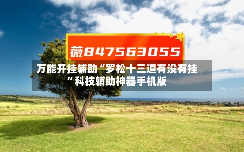 万能开挂辅助“罗松十三道有没有挂”科技辅助神器手机版-第1张图片