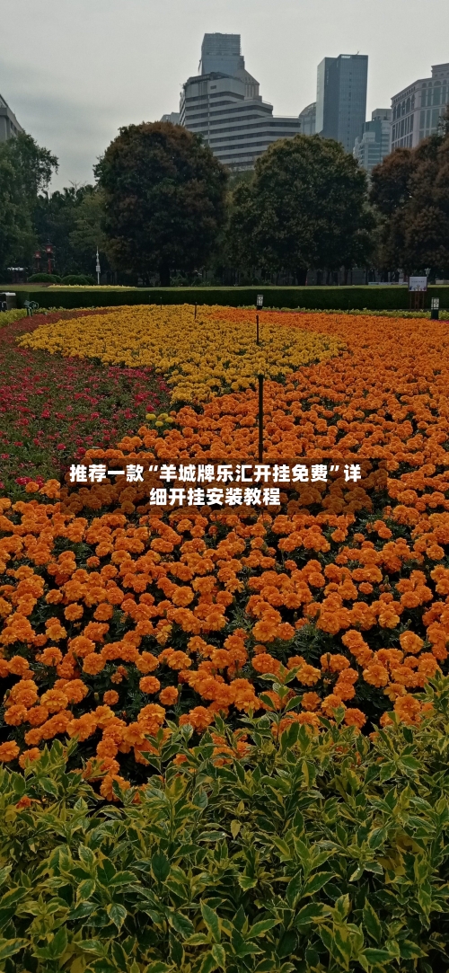 推荐一款“羊城牌乐汇开挂免费”详细开挂安装教程-第1张图片