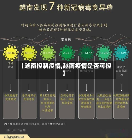 【越南控制疫情,越南疫情是否可控】-第2张图片