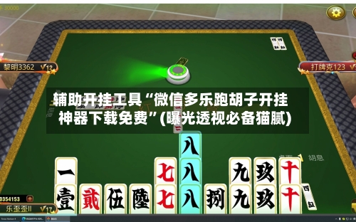 辅助开挂工具“微信多乐跑胡子开挂神器下载免费”(曝光透视必备猫腻)