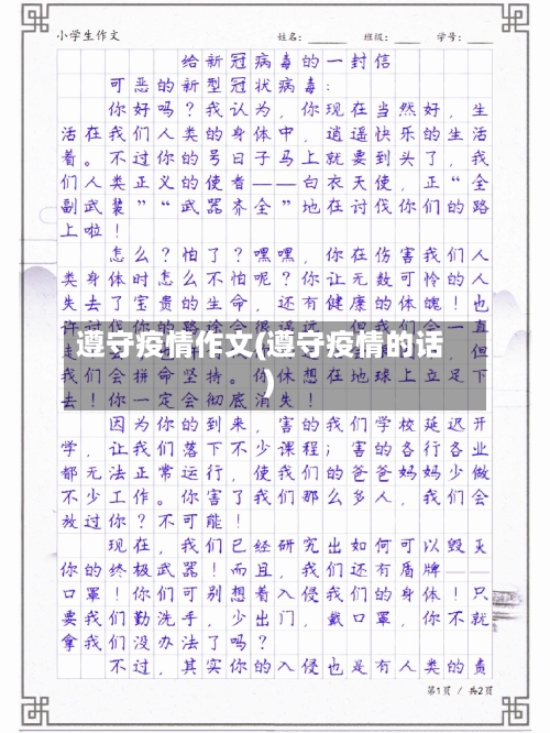 遵守疫情作文(遵守疫情的话)-第2张图片