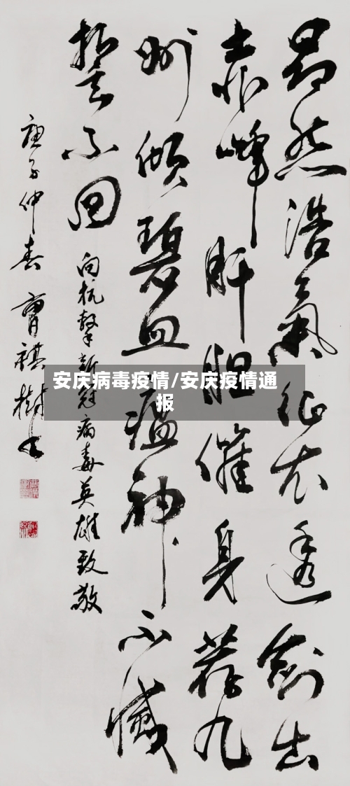 安庆病毒疫情/安庆疫情通报-第2张图片