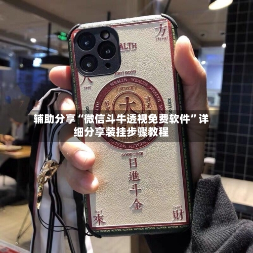 辅助分享“微信斗牛透视免费软件”详细分享装挂步骤教程-第2张图片