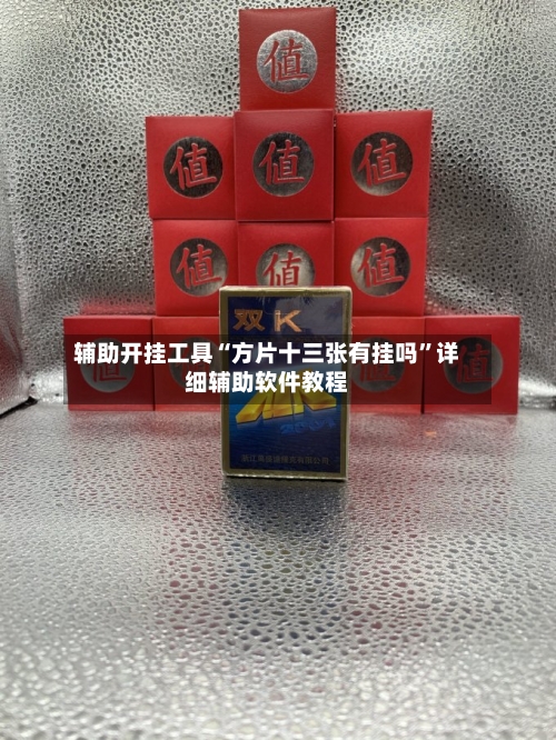 辅助开挂工具“方片十三张有挂吗	”详细辅助软件教程-第2张图片