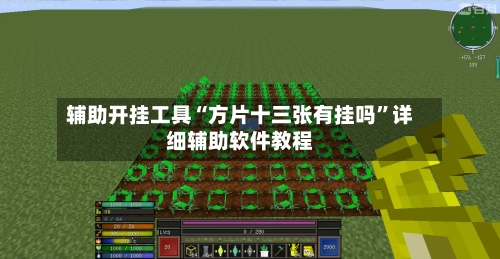 辅助开挂工具“方片十三张有挂吗”详细辅助软件教程-第1张图片