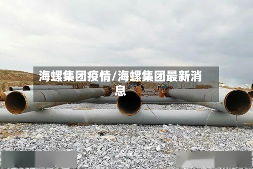 海螺集团疫情/海螺集团最新消息-第3张图片