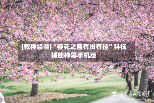 [教程经验]“樱花之盛有没有挂”科技辅助神器手机版-第2张图片