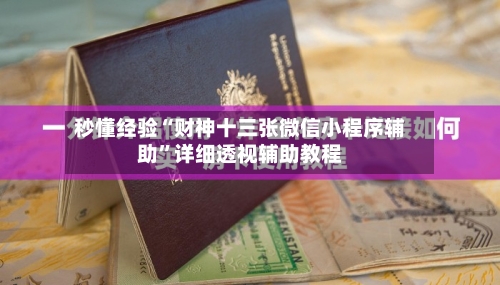 秒懂经验“财神十三张微信小程序辅助	”详细透视辅助教程-第1张图片