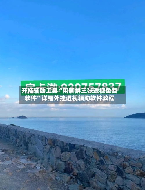 开挂辅助工具“闲聊拼三张透视免费软件”详细外挂透视辅助软件教程-第3张图片