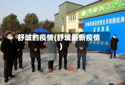 舒城的疫情(舒城最新疫情)-第2张图片