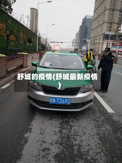 舒城的疫情(舒城最新疫情)-第3张图片