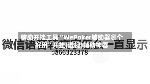 辅助开挂工具“WePoker辅助器哪个好用”开挂(透视)辅助神器