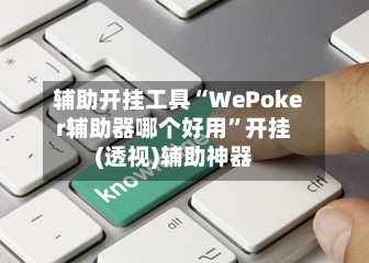 辅助开挂工具“WePoker辅助器哪个好用”开挂(透视)辅助神器-第2张图片