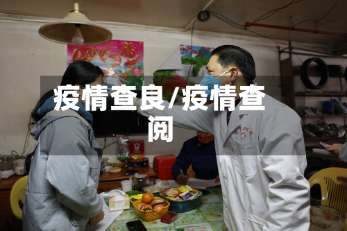 疫情查良/疫情查阅-第2张图片