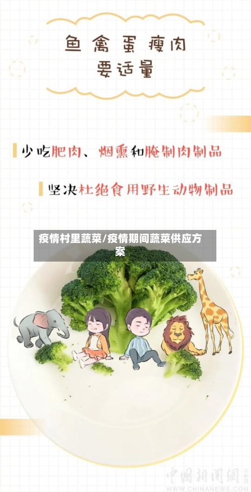 疫情村里蔬菜/疫情期间蔬菜供应方案-第2张图片