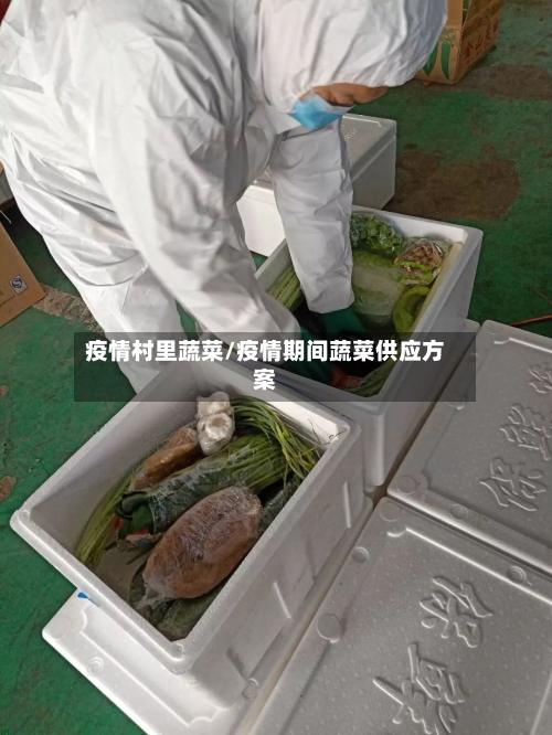 疫情村里蔬菜/疫情期间蔬菜供应方案
