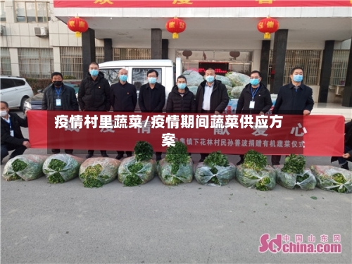 疫情村里蔬菜/疫情期间蔬菜供应方案-第3张图片