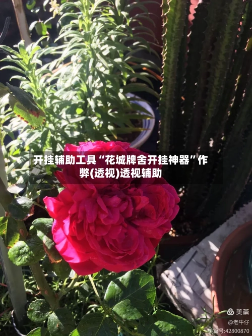 开挂辅助工具“花城牌舍开挂神器	”作弊(透视)透视辅助-第2张图片