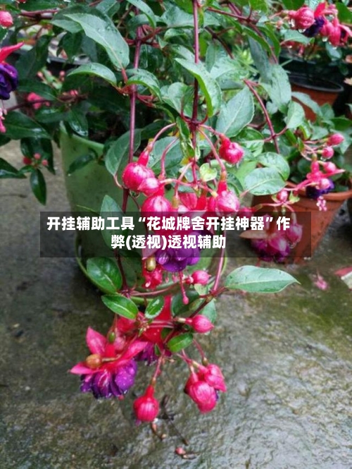 开挂辅助工具“花城牌舍开挂神器”作弊(透视)透视辅助