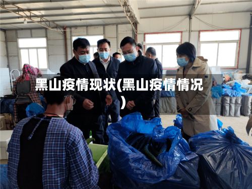 黑山疫情现状(黑山疫情情况)-第1张图片