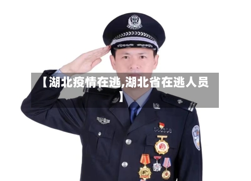 【湖北疫情在逃,湖北省在逃人员】-第2张图片